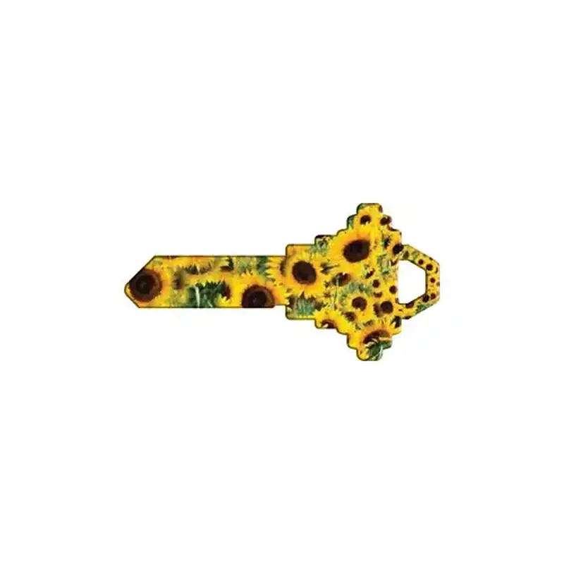 Howard Keys SC1-HK14 Key Blank Painted