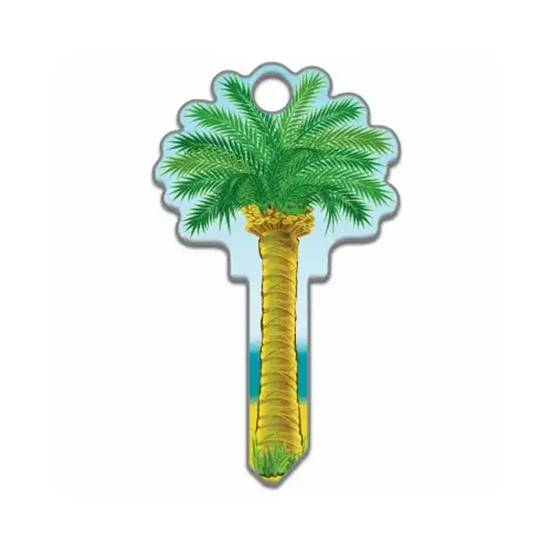 LUCKY LINE B112S Key Shapes Series Key Blank, Brass, Enamel, For: Schlage Locks