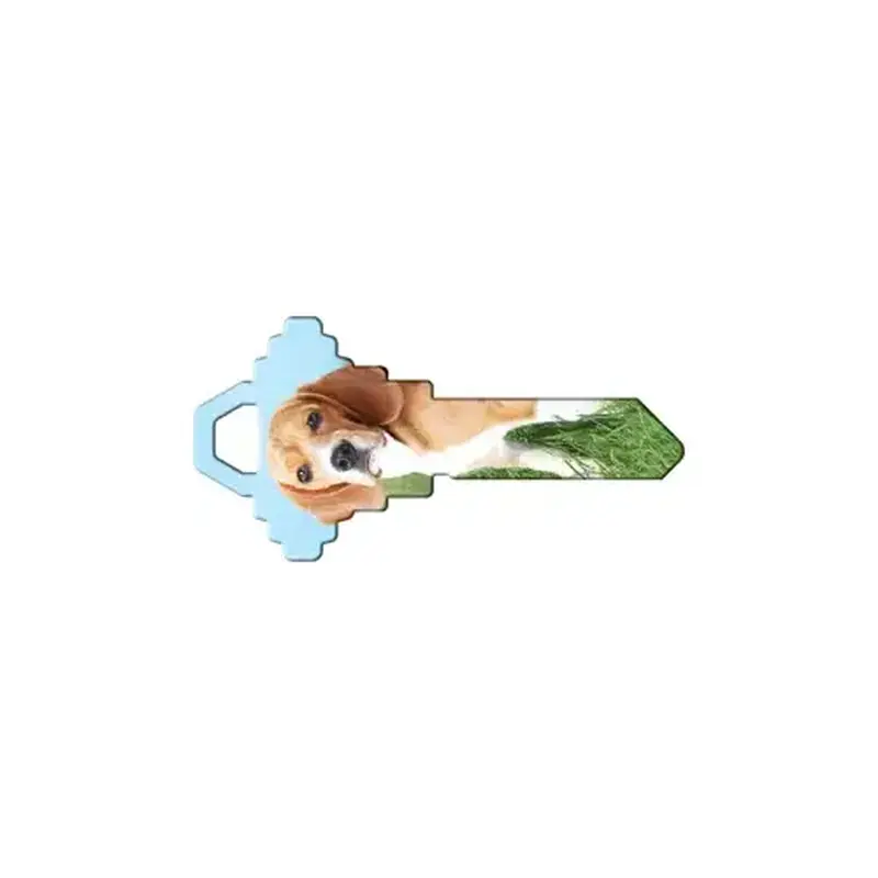 Howard Keys SC1-HK63-XCP5 Happy Keys Beagle - pack of 5