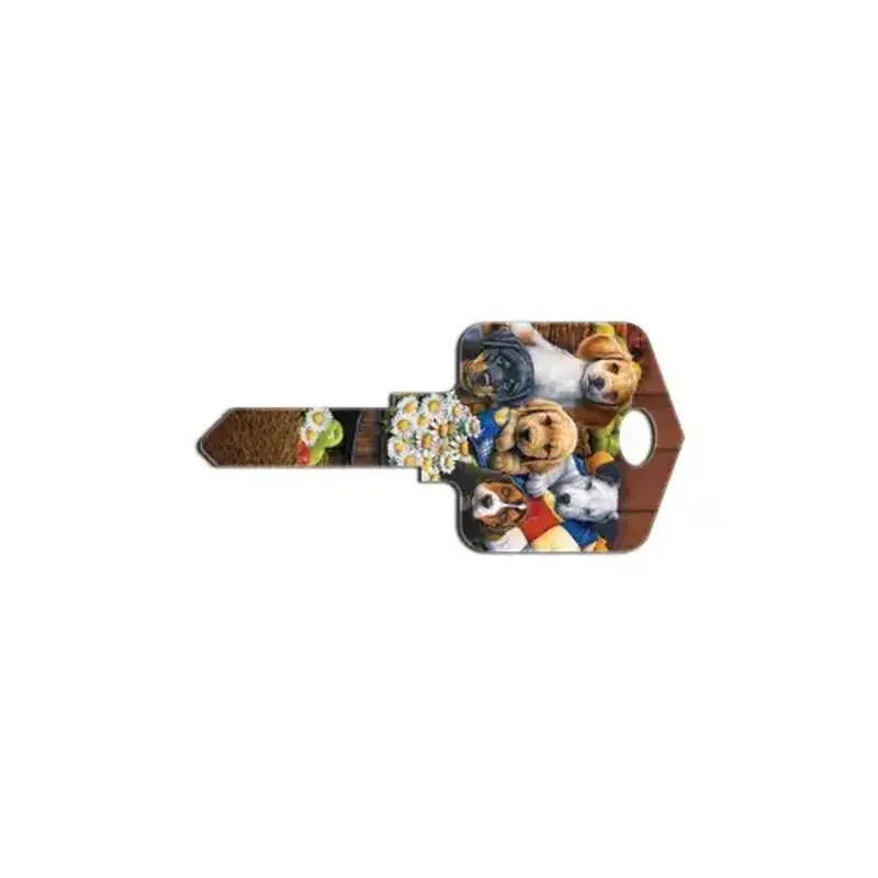 Howard Keys SC1-AC2 Key Blank Painted