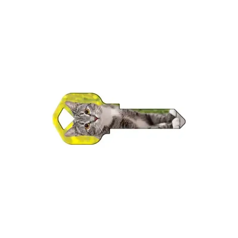 Howard Keys WR-HK65-XCP5 Happy Keys Silver Tabby - pack of 5