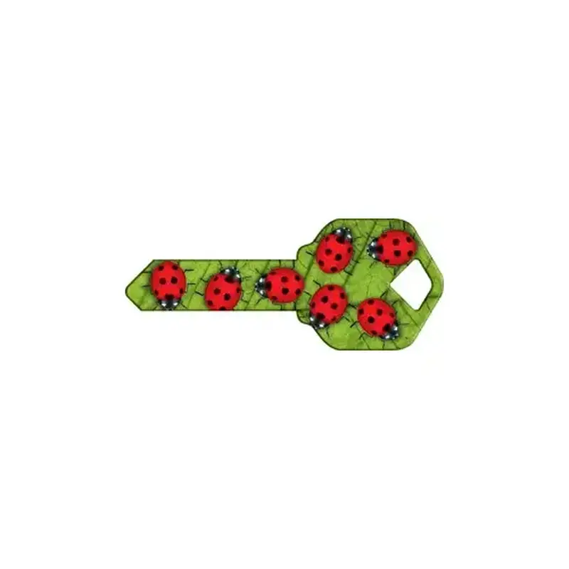 Howard Keys WR-HK51-XCP50 Happy Keys Ladybugs - pack of 50