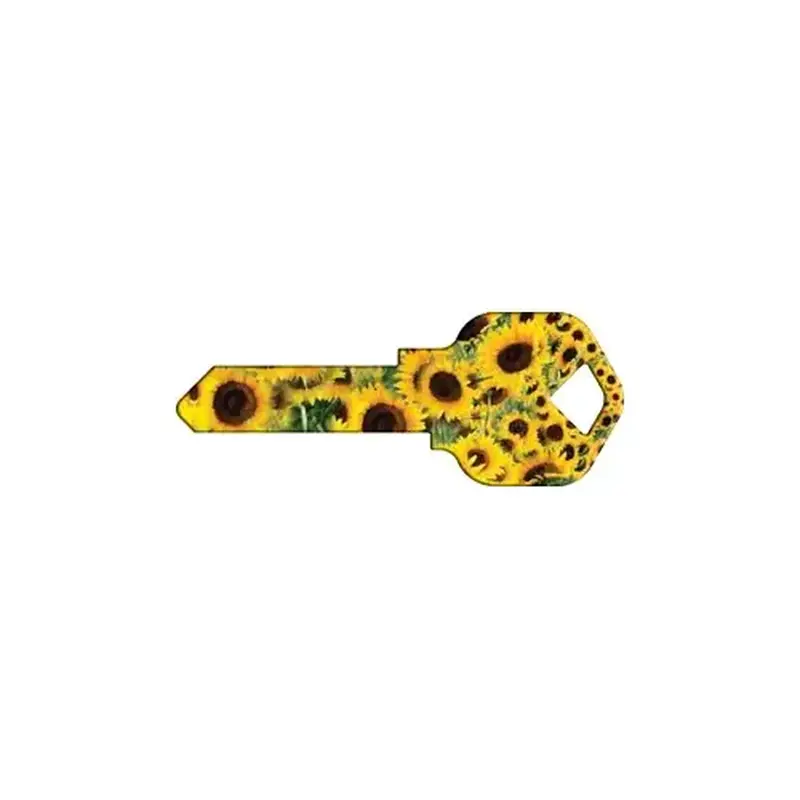 Howard Keys KW-HK14 Key Blank Painted