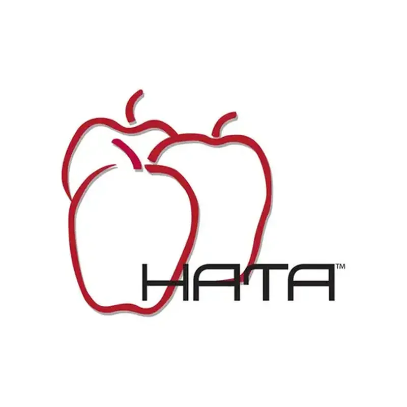 Hata Inc HAT237 LASER KEY FOR FORD