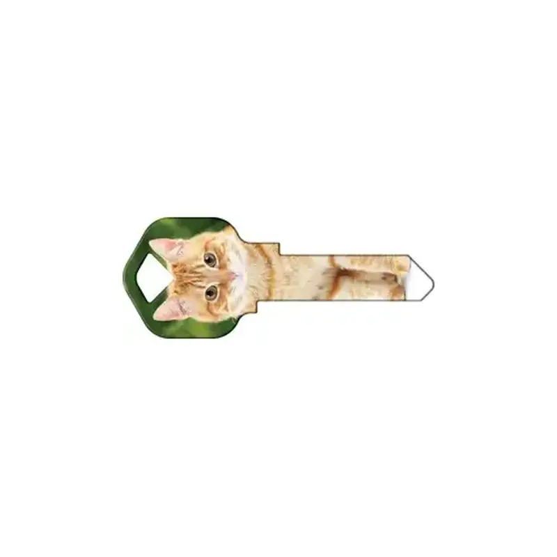 Howard Keys KW-HK66-XCP50 Happy Keys Orange Tabby - pack of 50
