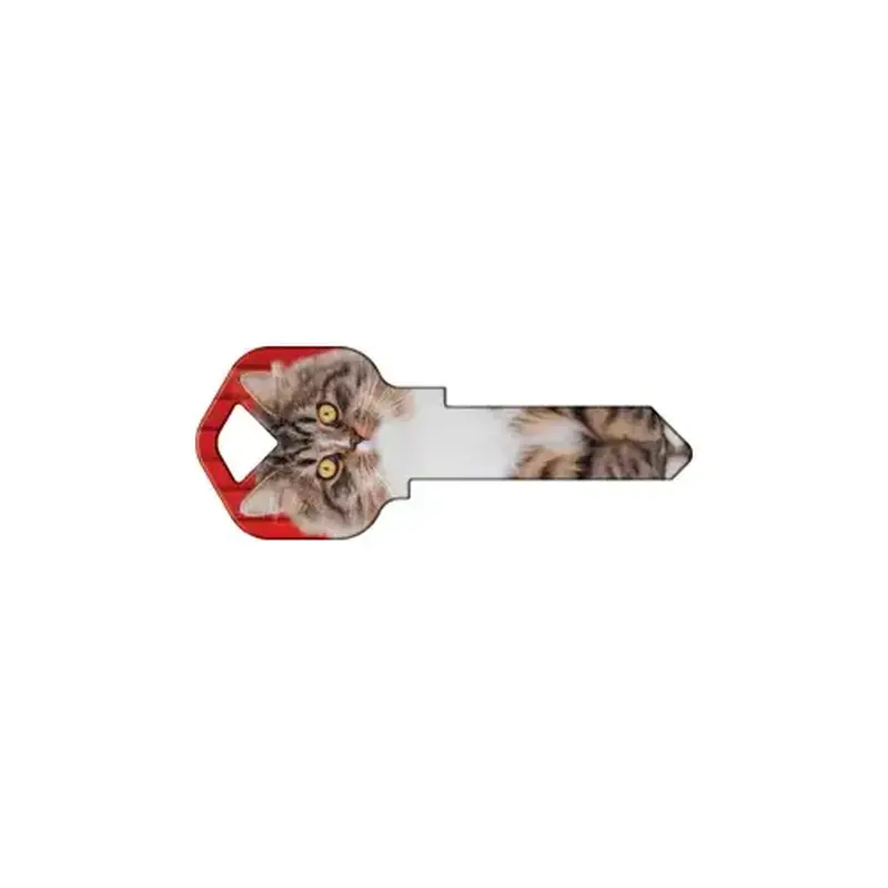 Howard Keys KW-HK67-XCP50 Happy Keys Maine Coon - pack of 50