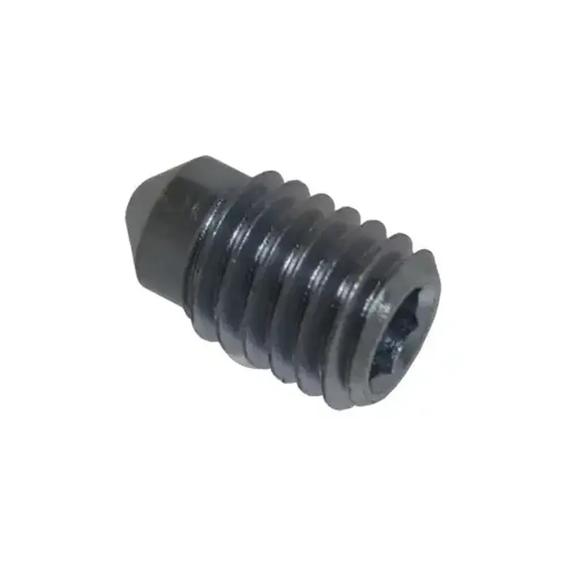 Falcon Lock SCREW.1022 PB14 Dogging Screw 4270100153