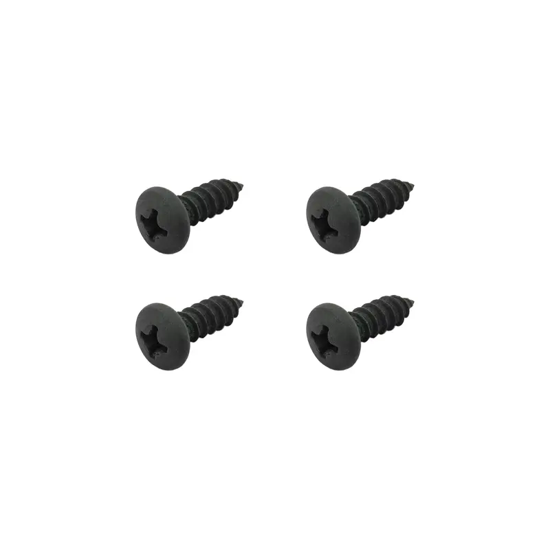 Set of Speaker Mounting Screws