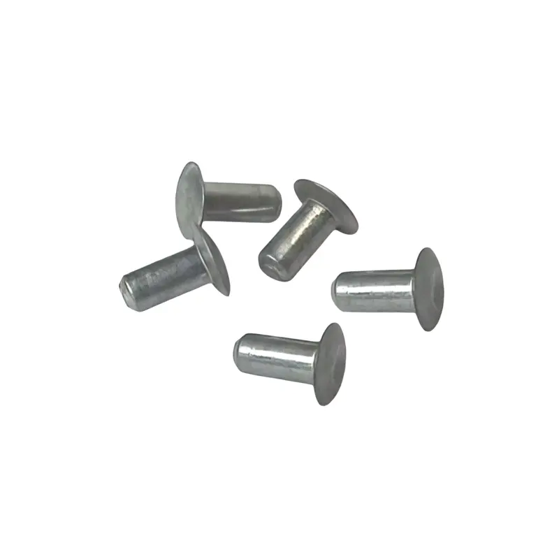 Vent Window Latch Rivet [Bus]