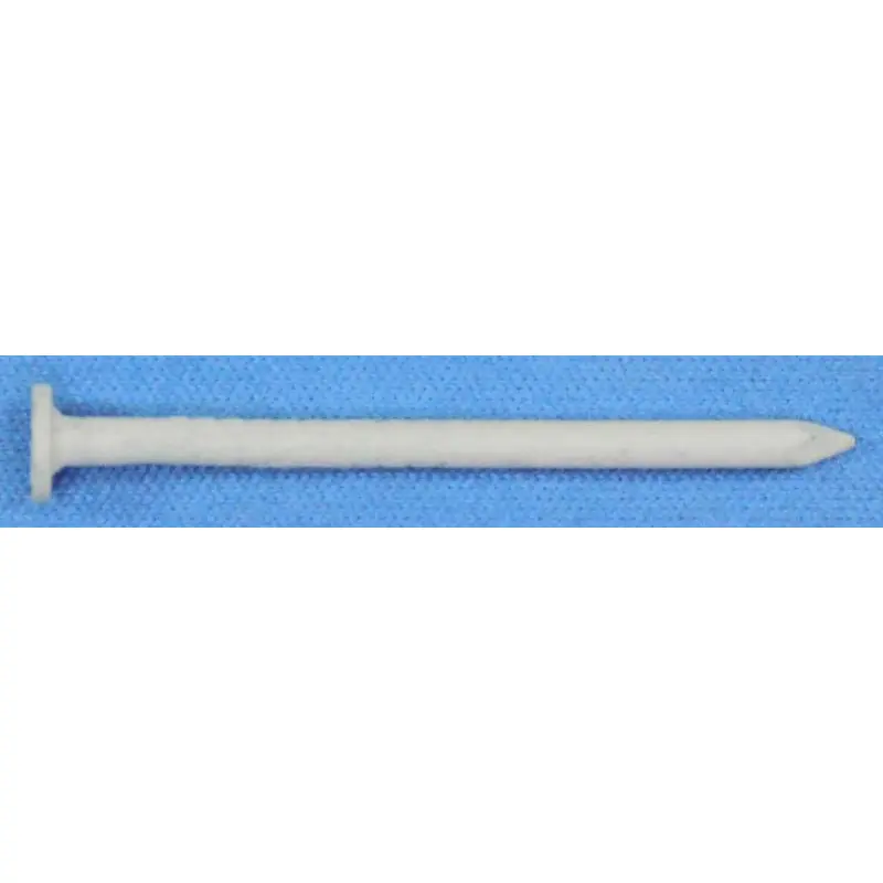 Maze Nails Trim Stainless Steel Nail Flat Head Plain Shank1-1/4" Clay