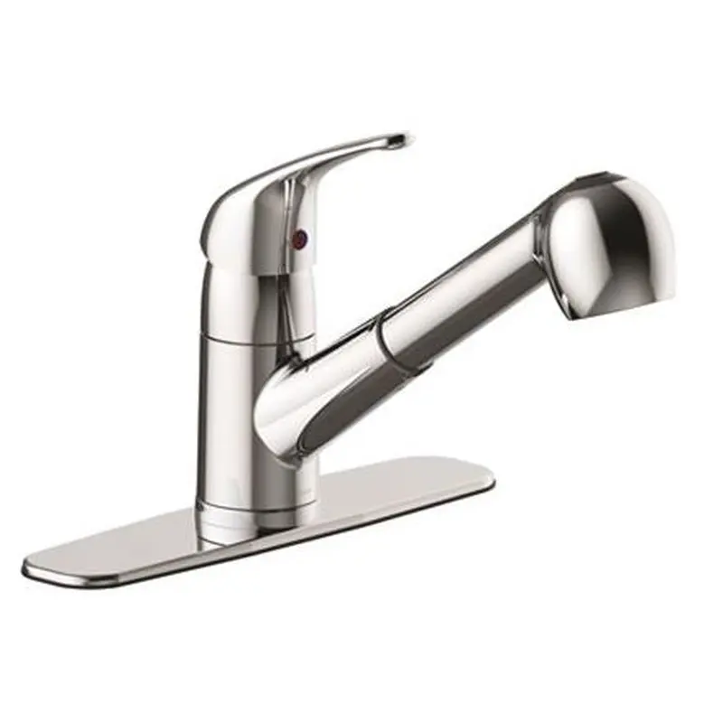Seasons Raleigh Single-Handle Pull-Out Sprayer Kitchen Faucet in ChromeChrome