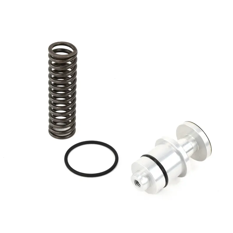 ELGi Minimum Pressure Check Valve Replacement - B009301070014