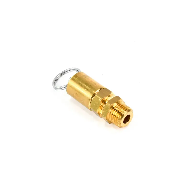 ELGi Safety Valve Replacement - B012806280008