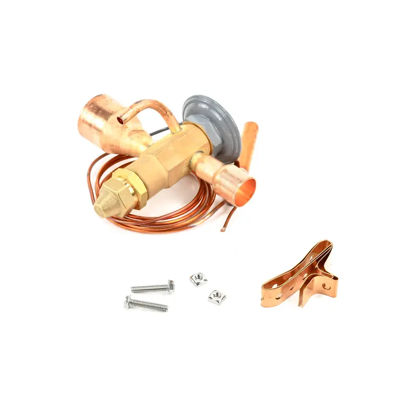 Hankison Thermal Expansion Valve Replacement - 3232533