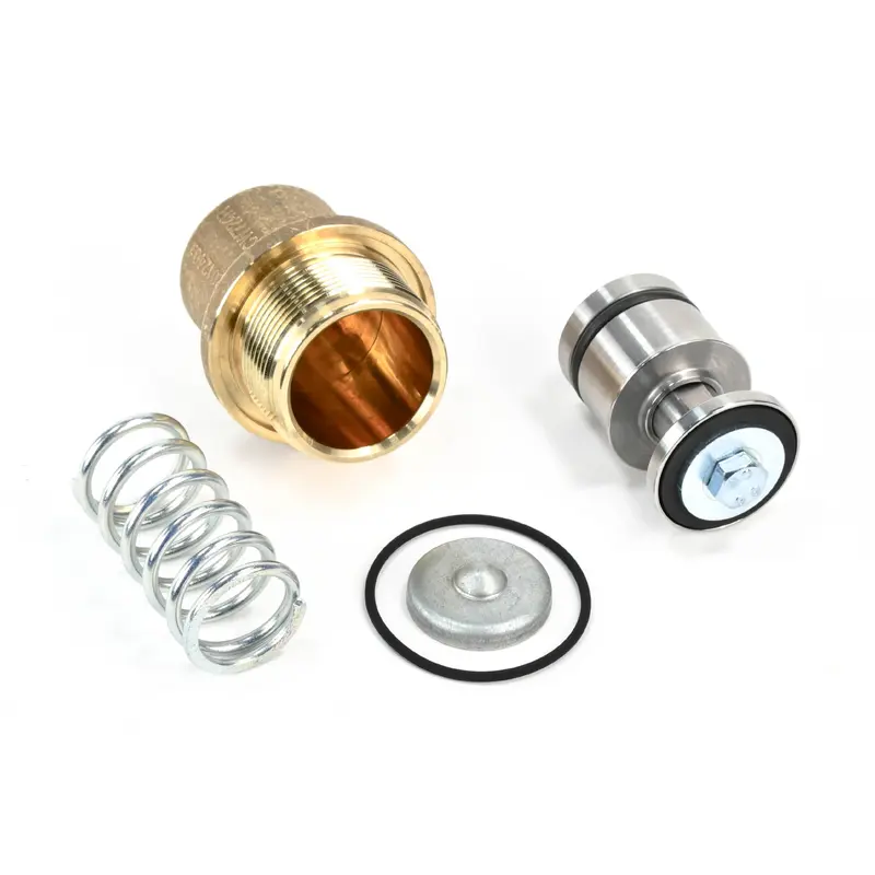 Kaeser Minimum Pressure Check Valve Replacement - 400993.1