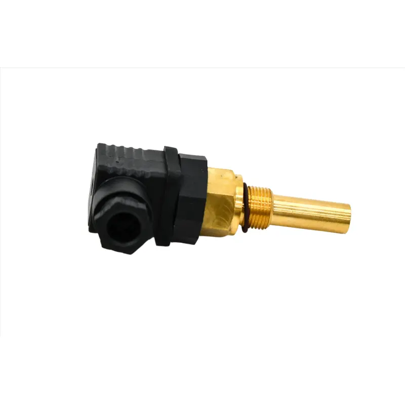 Kaeser Resistance Thermometer Kit Replacement - 7.7035.1