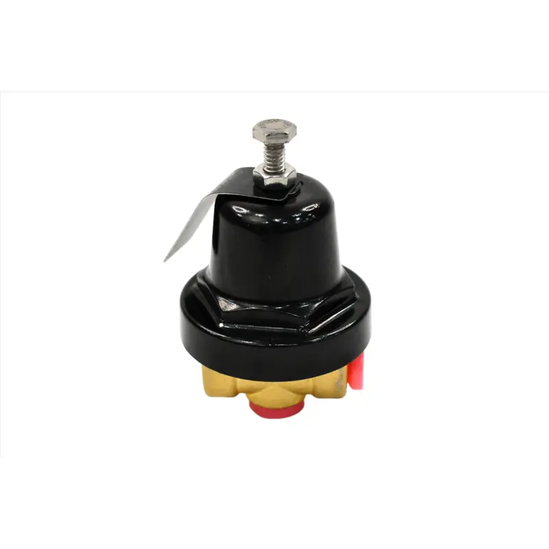 Quincy Differential Pilot Valve Replacement - 21969-8