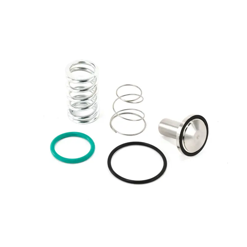 Quincy Minimum Pressure Check Valve Kit Replacement - 6231933500