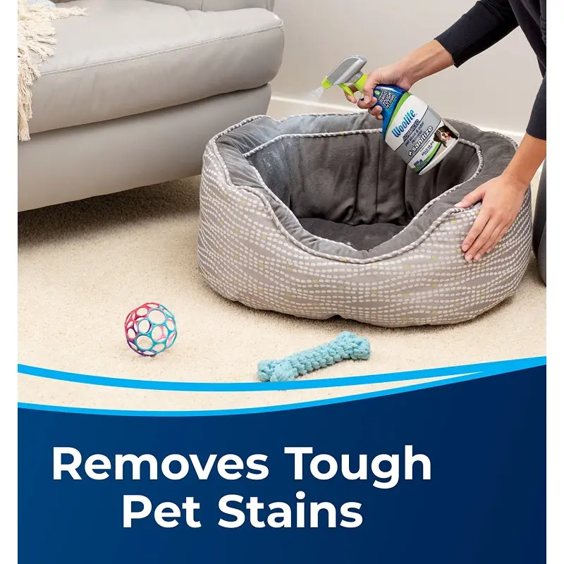Bissell Woolite 11521 Pet Stain and Odor Remover, Liquid, Characteristic, 22 oz