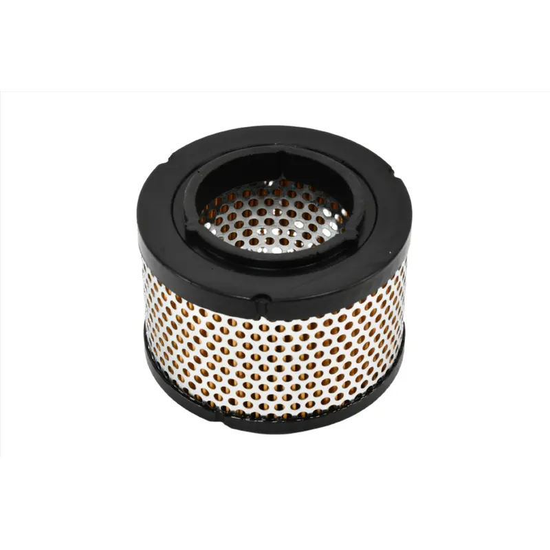 Mann Filter Air Filter Replacement - C1126