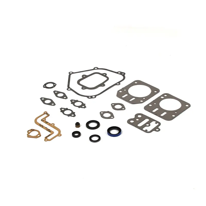 Briggs and Stratton 791797 Engine Gasket Set