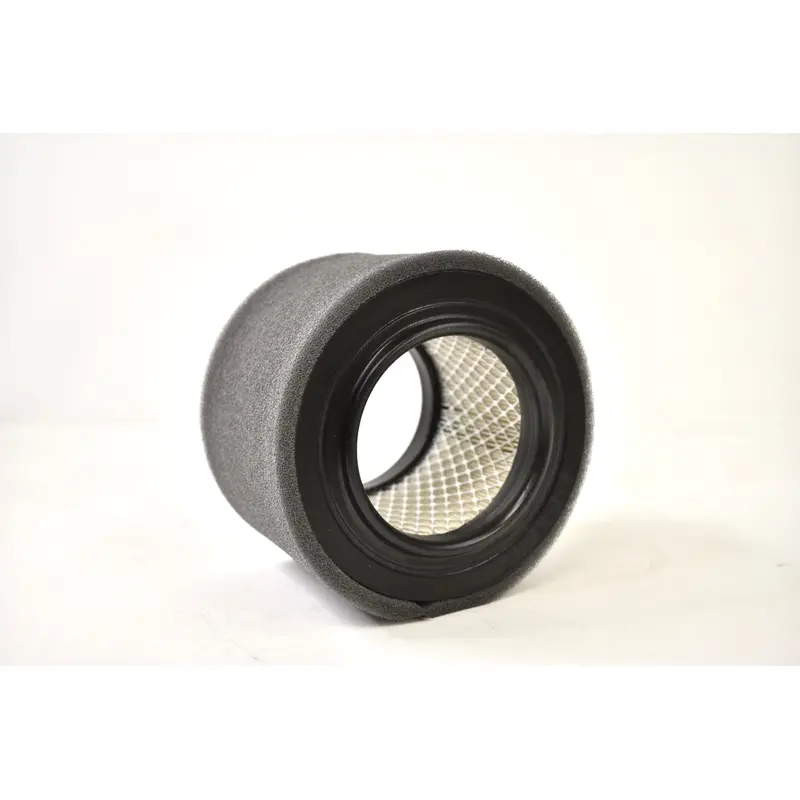 Solberg Air Filter Replacement - 30