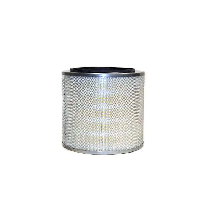 Kaeser Air Filter Replacement - 6.4198.0