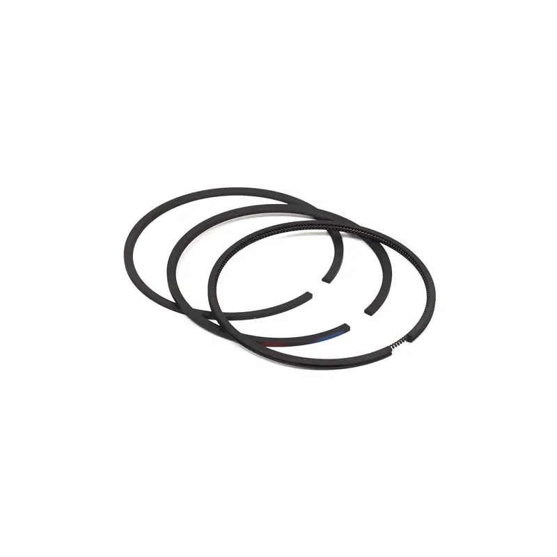 Briggs and Stratton 499631 Ring Set