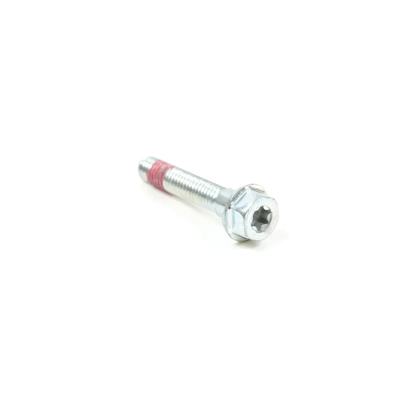 Briggs and Stratton 699484 Screw