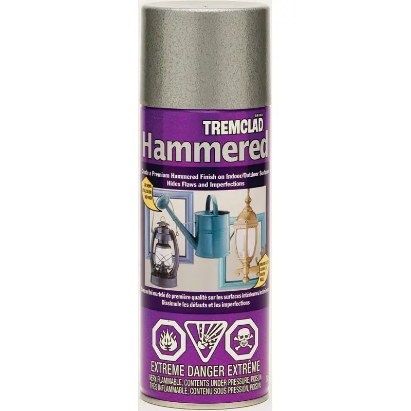 RUST-OLEUM TREMCLAD 595210B522 Spray Paint, Gloss, Silver, 340 g Aerosol Can