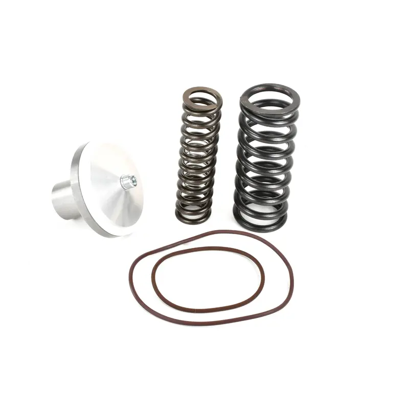 Quincy Minimum Pressure Check Valve Kit Replacement - 2012103103