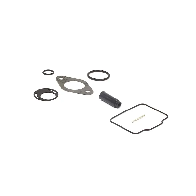 Briggs and Stratton 555605 Carburetor Overhaul Kit