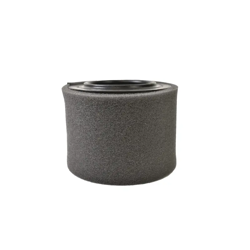 Champion Air Filter Replacement - P7625A