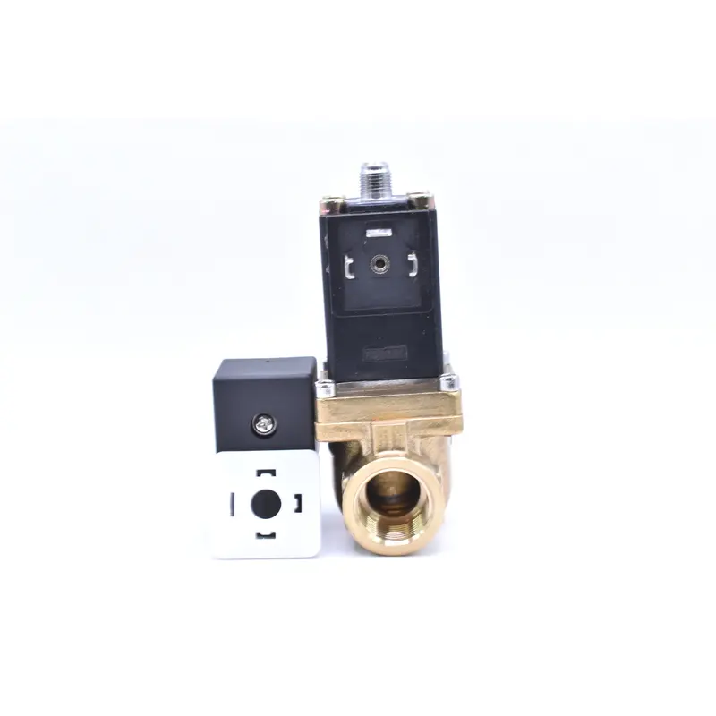 Ingersoll Rand Blowdown Valve Replacement - 39123070