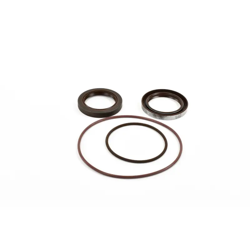 Gardner Denver Oil Seal Replacement - 300SSM6013