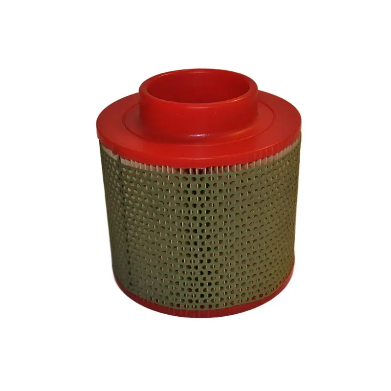 Mann Air Filter Replacement - C17100