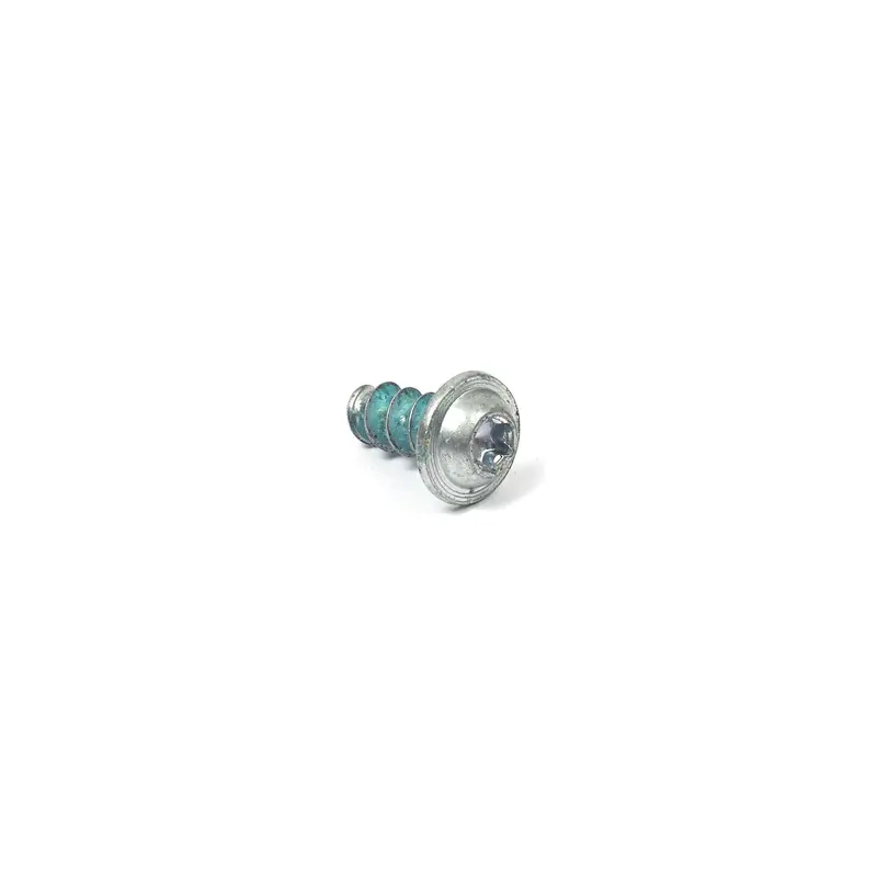 Briggs and Stratton 1754203YP Screw