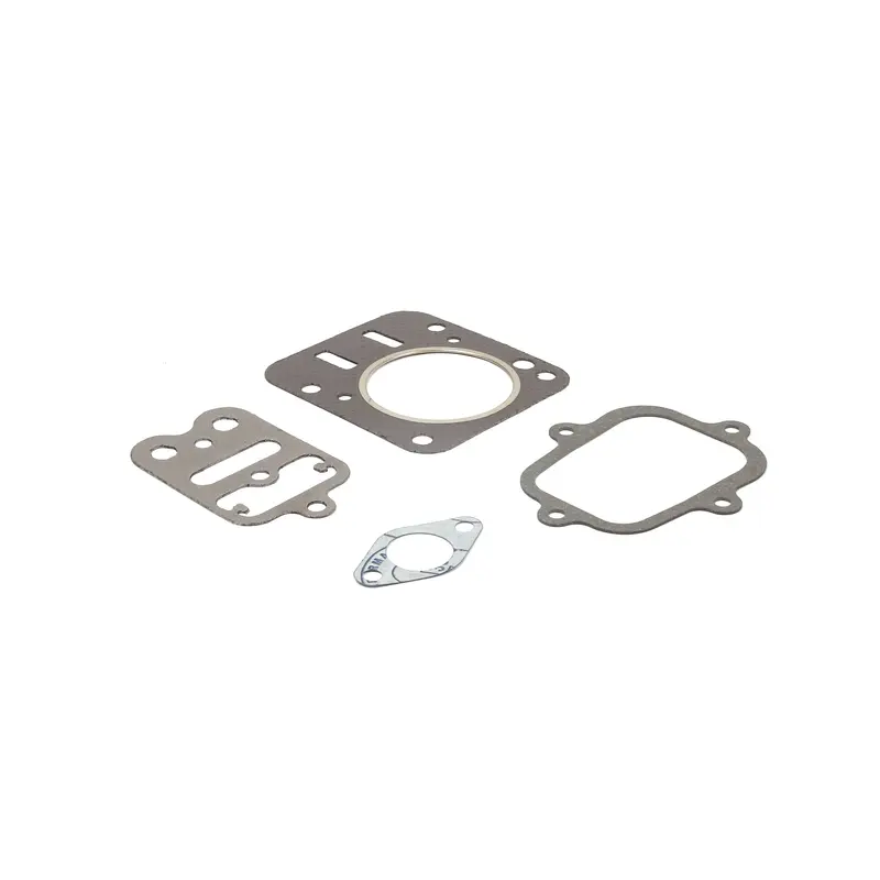 Briggs and Stratton 557027 Valve Gasket Set