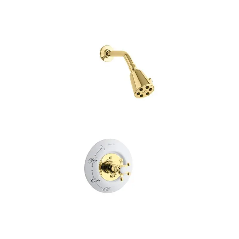 Antique 1-Spray 3.8 in. Single Wall Mount Fixed Shower Head in Polished Brass