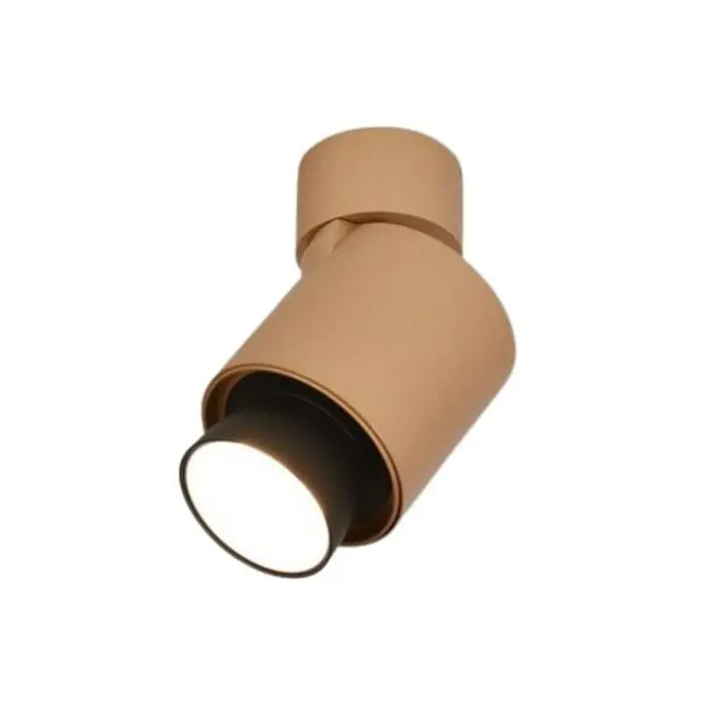 RANDA LED Adj Spot Light Gold | RAN00347