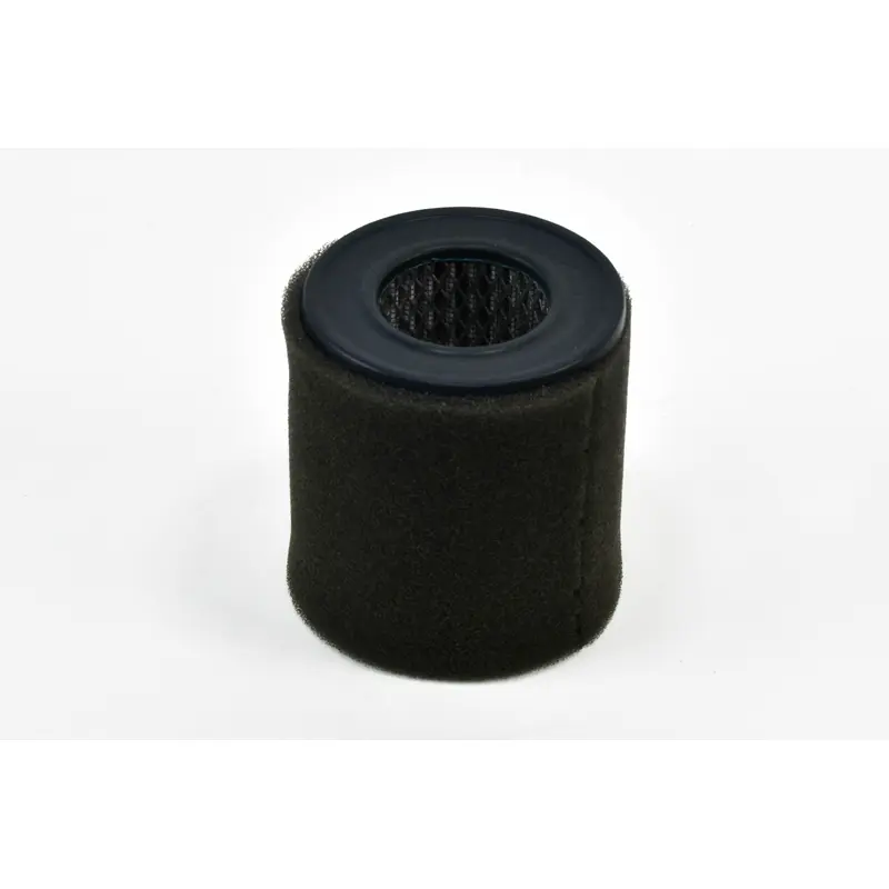 Champion Air Filter Replacement - P05533A