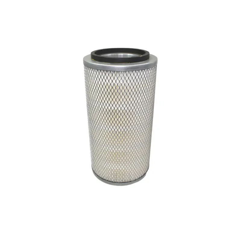 Mann Filter Air Filter Replacement - C20325/2