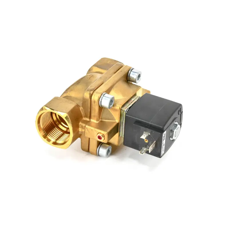 Ingersoll Rand Anti-Condensation Valve Replacement - 22050090